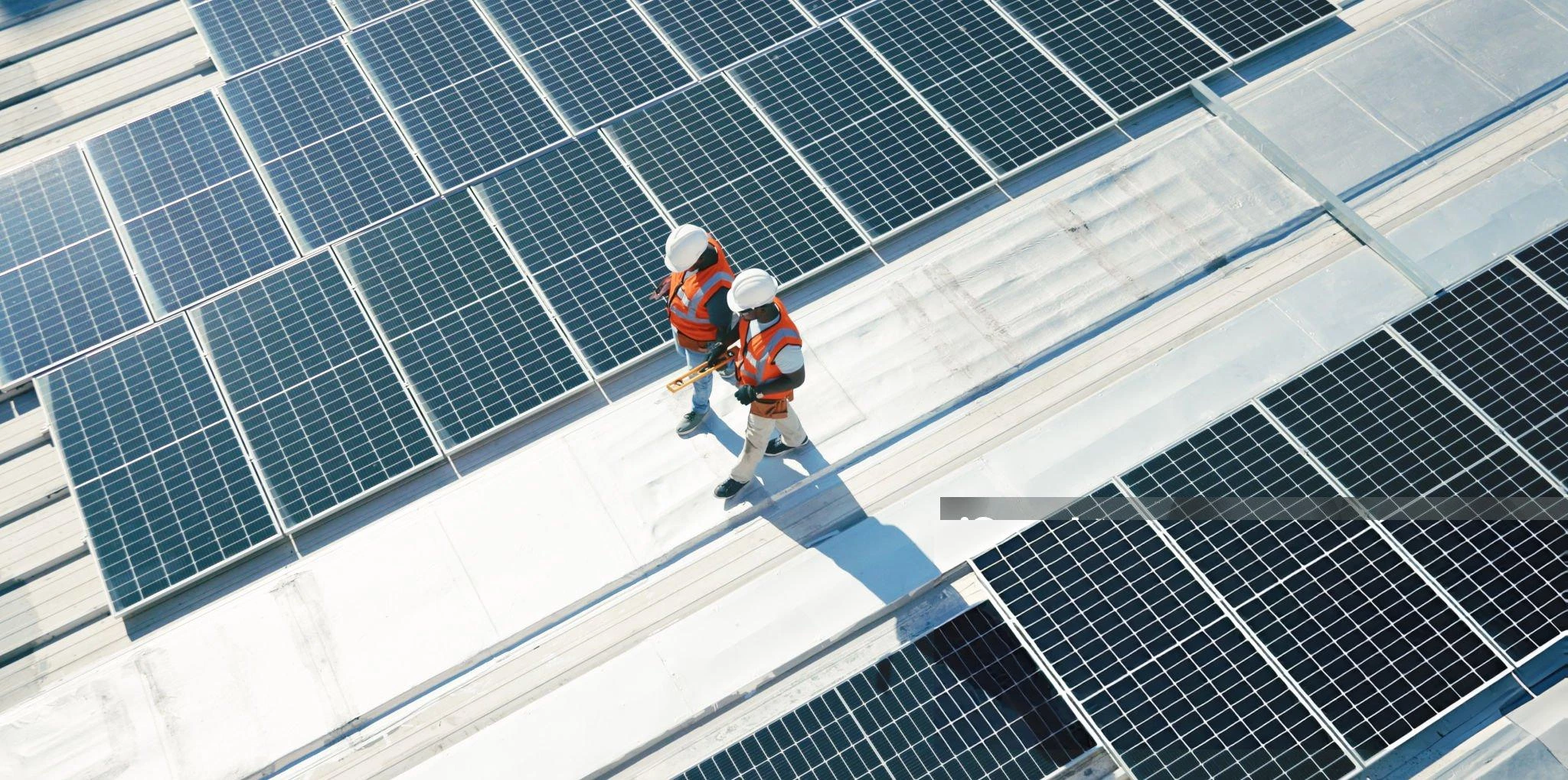 Labor & Workforce Productivity